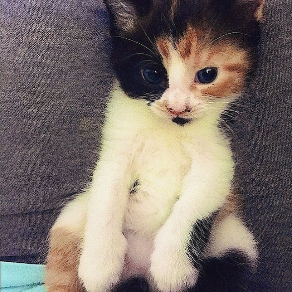 💕❤️JEWELRY Buy 2, Get 1 FREE❤️💕 - Picture 13 of 16